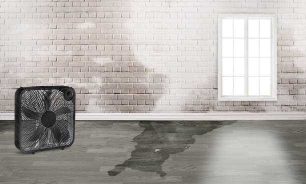 Best Sewage cleanup and water damage restoration  in Sheffield, AL