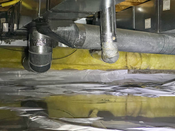Best Local water damage restoration  in Sheffield, AL