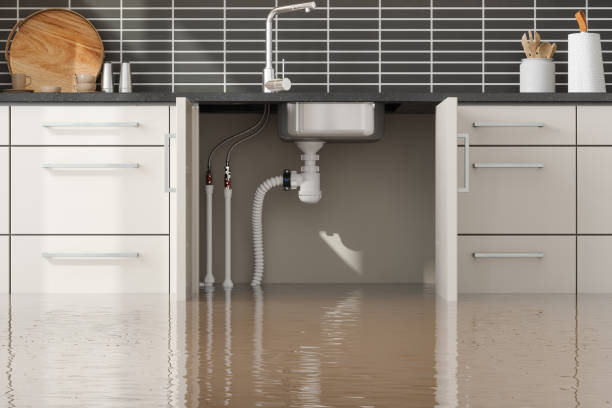 Best Water damage restoration near me  in Sheffield, AL