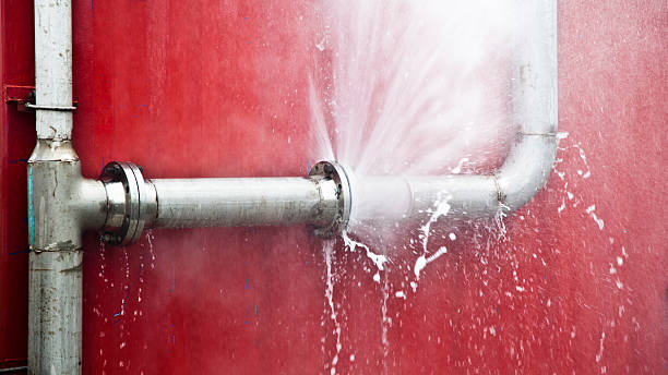 Best Professional water damage repair  in Sheffield, AL